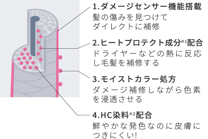 【1.ダメージセンサー機能搭載】髪の傷みを見つけてダイレクトに補修【2.ヒートプロテクト成分※1配合】ドライヤーなどの熱に反応し毛髪を補修する【3.モイストカラー処方】ダメージ補修しながら色素を浸透させる【4.HC染料※2配合】鮮やかな発色なのに皮膚につきにくい!